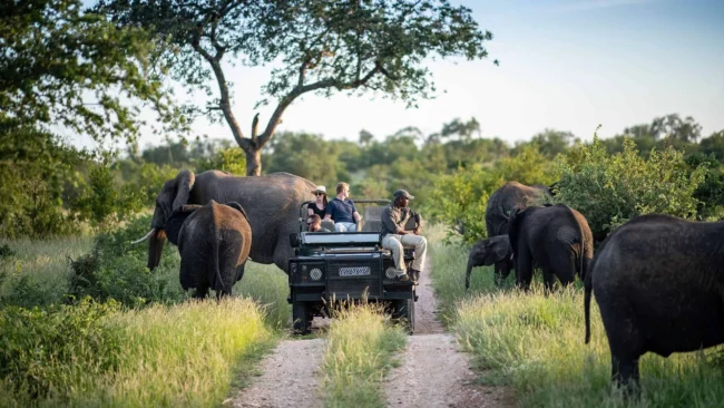 Kruger national park South Africa